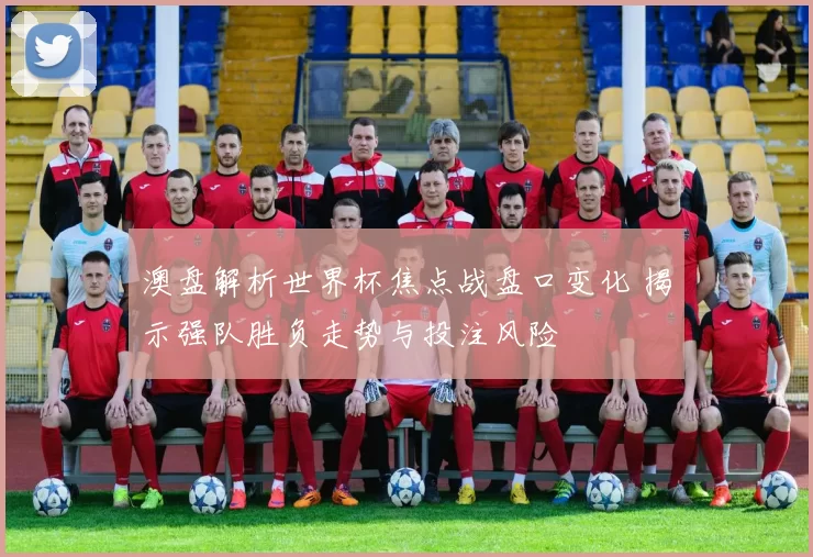 澳盘解析世界杯焦点战盘口变化 揭示强队胜负走势与投注风险