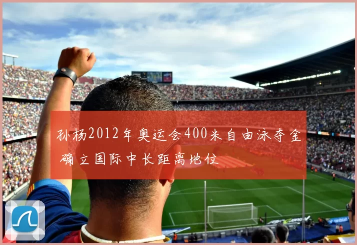 孙杨2012年奥运会400米自由泳夺金 确立国际中长距离地位