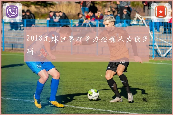 2018足球世界杯举办地确认为俄罗斯