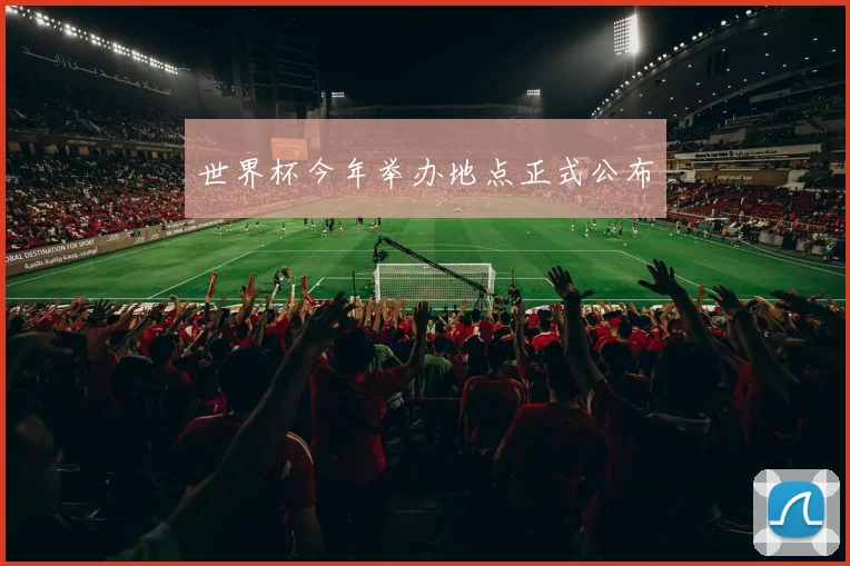 世界杯今年举办地点正式公布