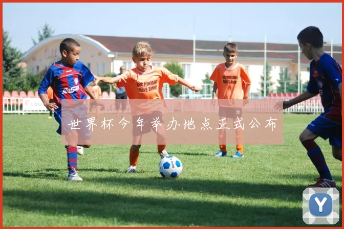 世界杯今年举办地点正式公布